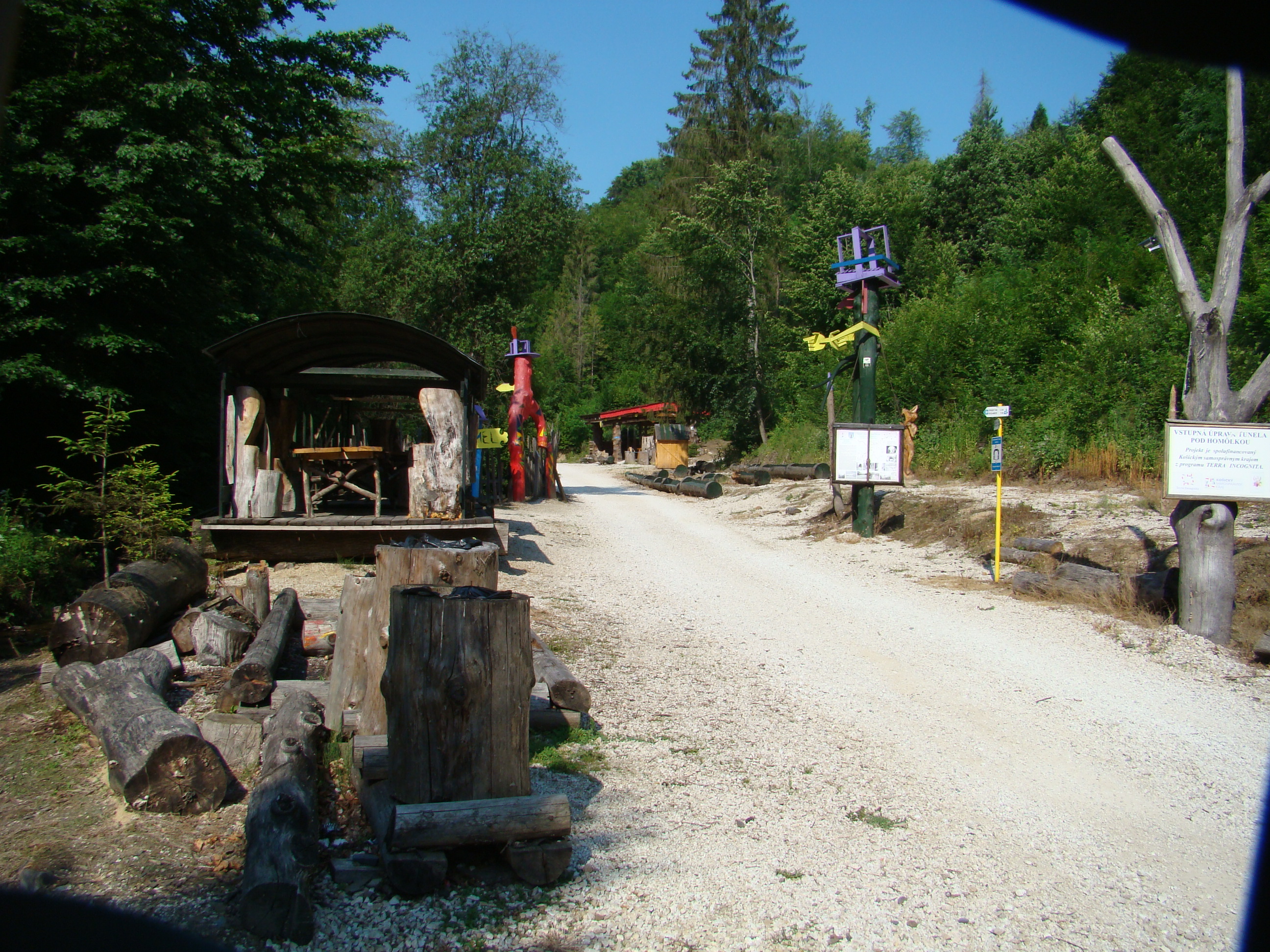 DSC07104