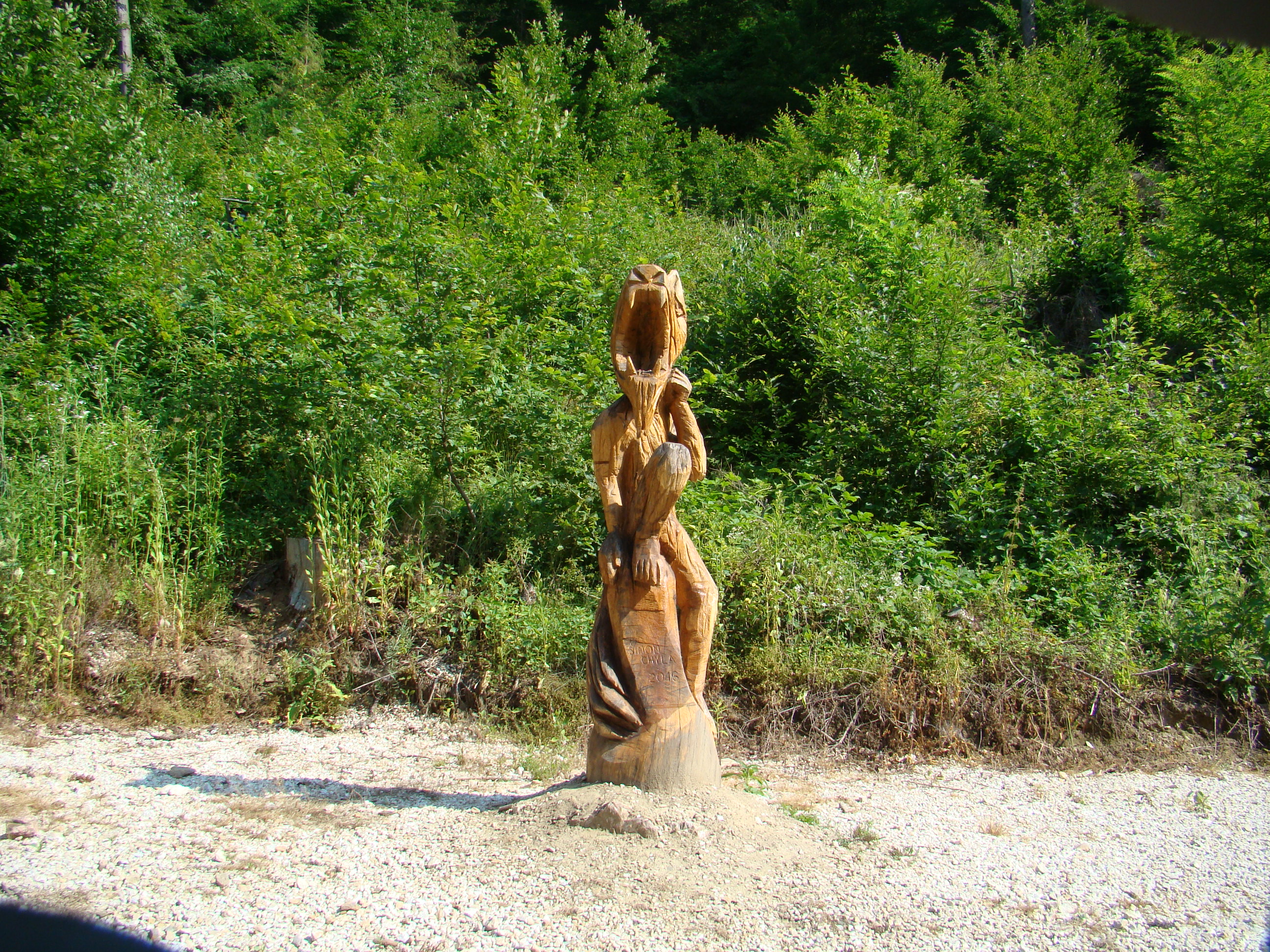 DSC07106
