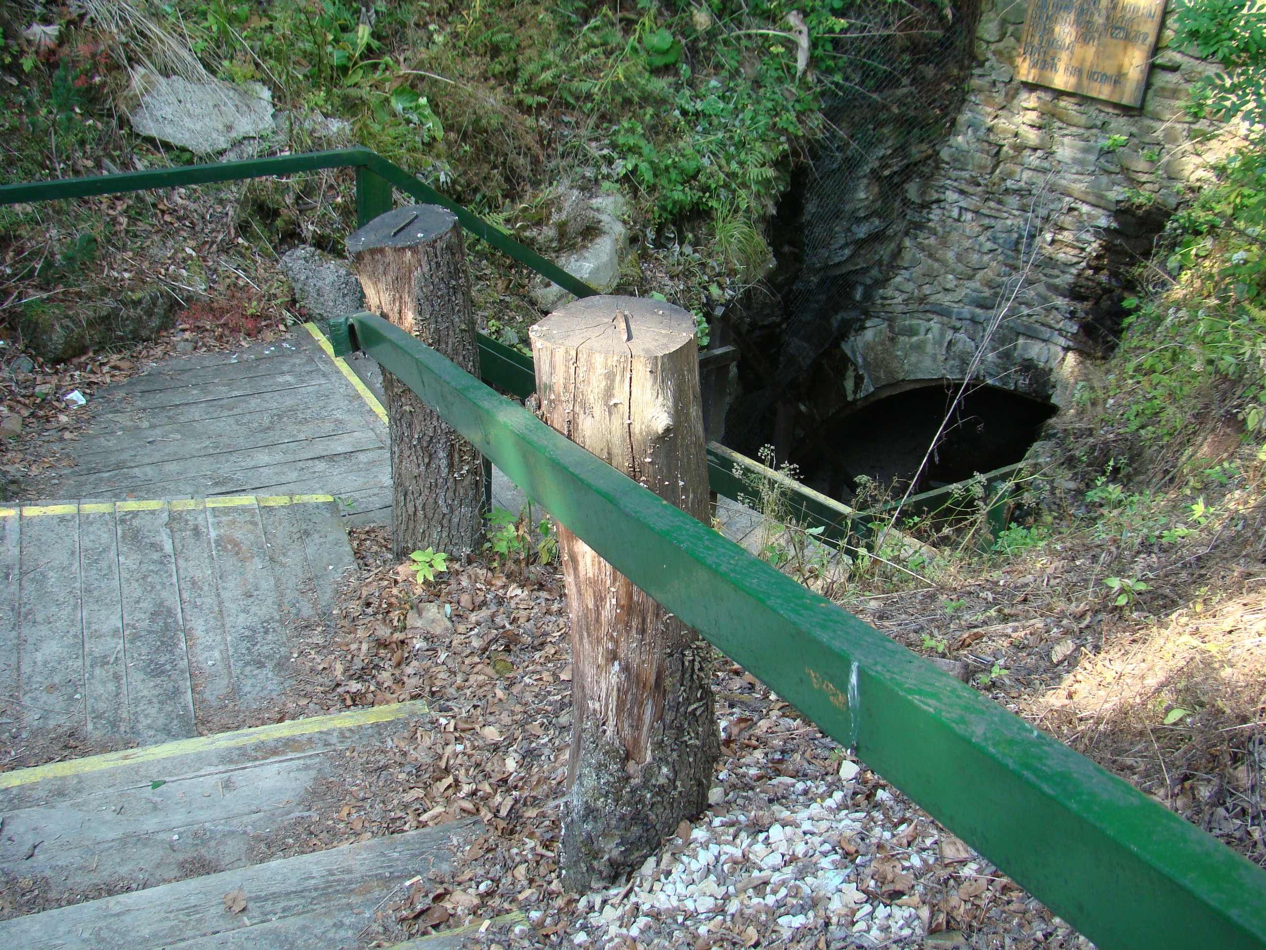 DSC07110