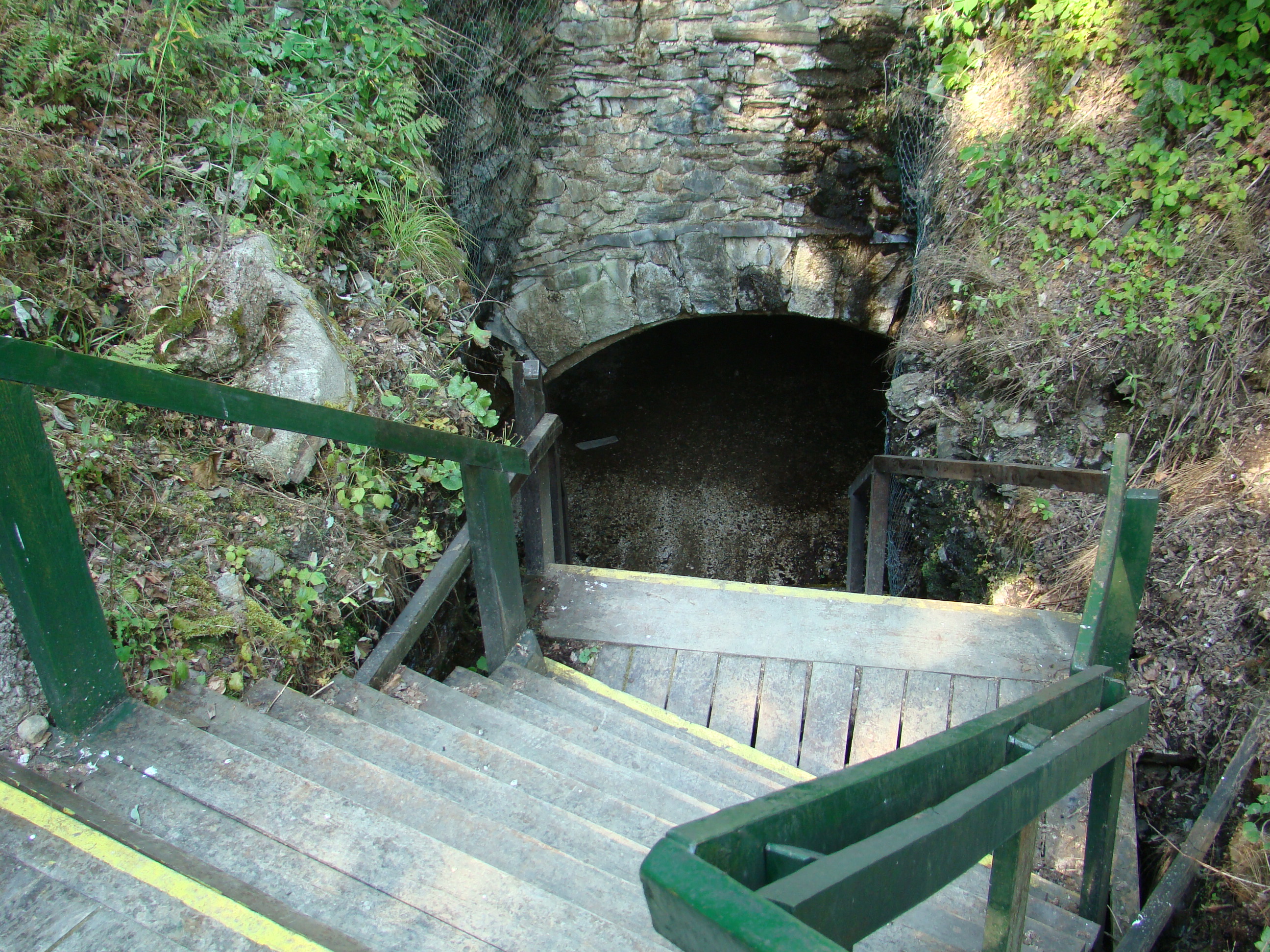 DSC07111