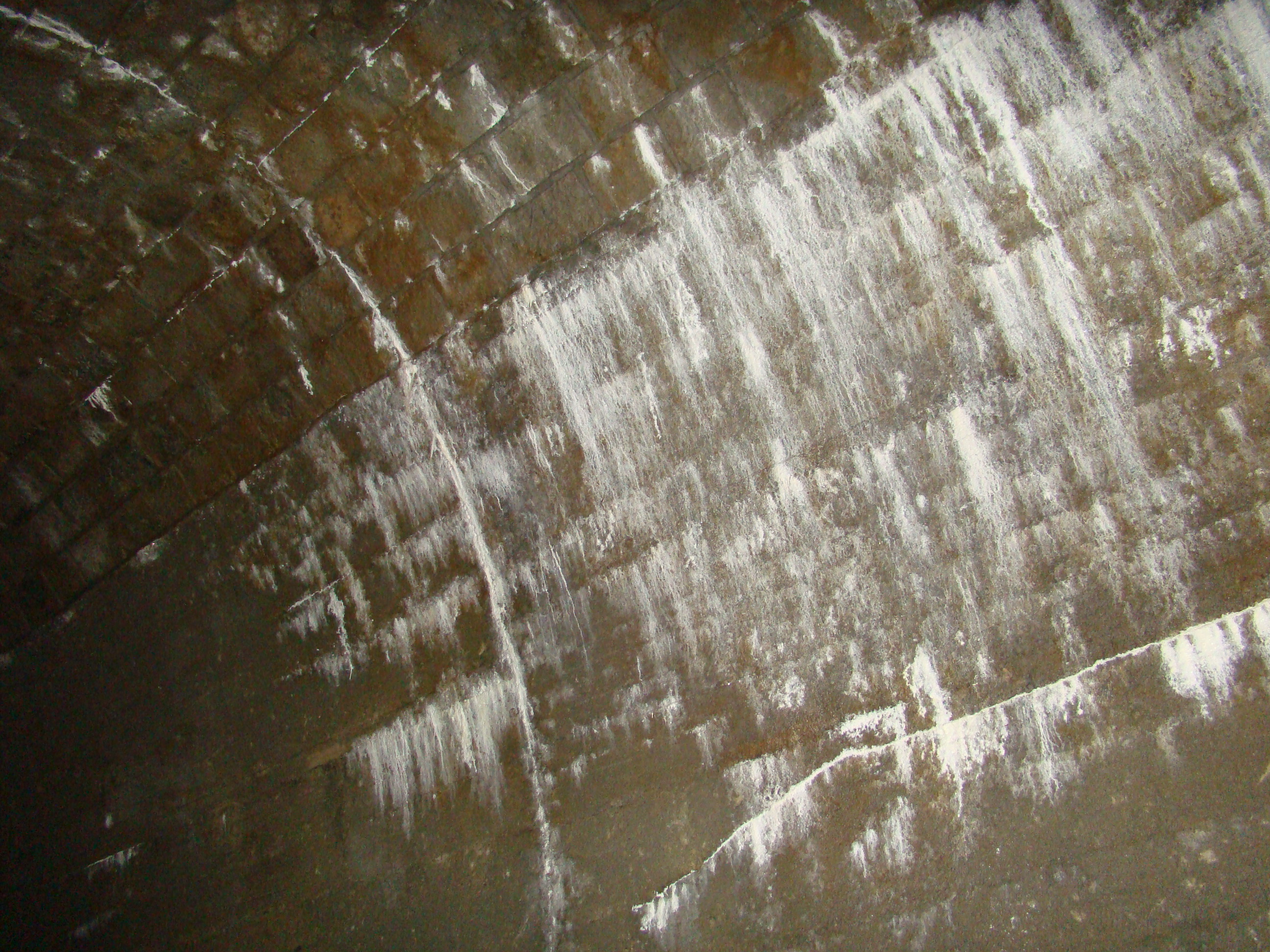 DSC07133